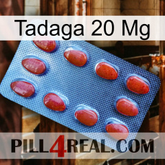 Tadaga 20Mg 06